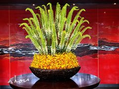 -湖滨28中餐厅·西湖宴·杭州君悦酒店