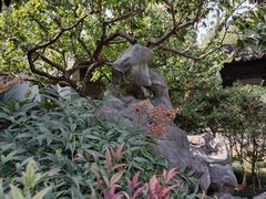 -苏州严家花园
