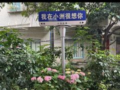 -小洲村