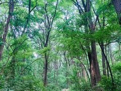 -廊坊市自然公园