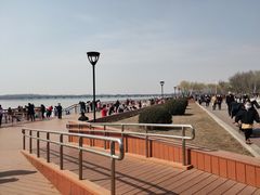 -丁香湖公园