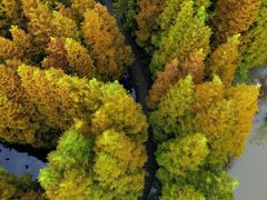 -桤木河湿地公园