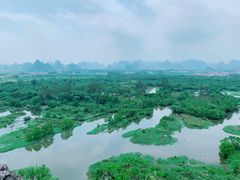 -会仙湿地