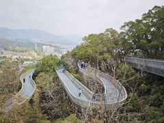 -福道