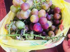 -乡乐园蟹庄·阳澄湖农家乐