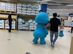 -盒马X会员店(王府井奥莱UP TOWN店)
