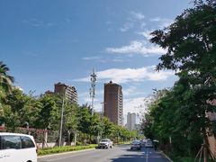 -范饭椰林川湘味海鲜·椰子鸡(三亚湾椰梦长廊店)