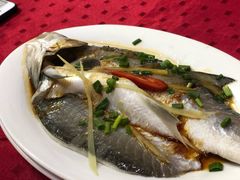 -蛇口康乐快餐鱼仔档(翠苑小区店)