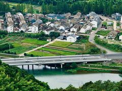 -长寿村