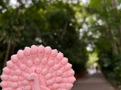 -西双版纳总佛寺