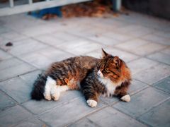 -北京西山国家森林公园