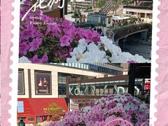 -龙湖重庆时代天街