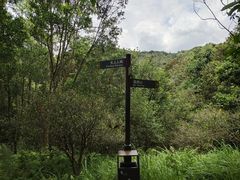 -深圳仙湖植物园