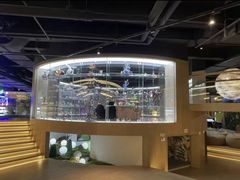 -皇室假期美食水疗会(春风路店)