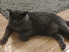 -壹人壹像工作室(购物公园店)