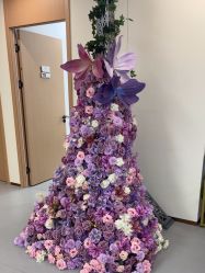 -上海伊莱美医疗美容医院
