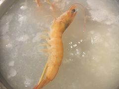 -吉友粥底火锅(方斜路店)