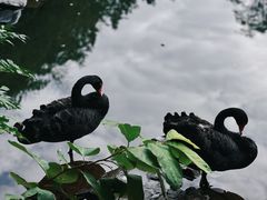 -水绘园