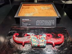 -盘龙城国家考古遗址公园