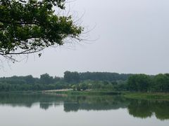 -东郊湿地公园