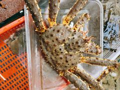 -船奇蒸汽海鲜·闽菜(八市海鲜总店)