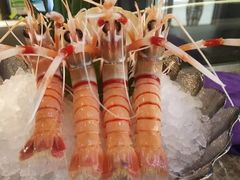 -極上萬膳·日料放题(海岸城店)