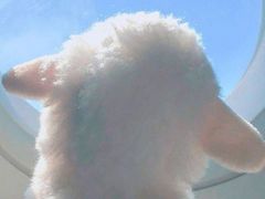 -老牌柳州螺蛳粉(同班同学美食城店)