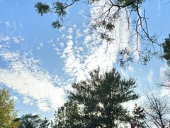 -南戴河国际娱乐中心