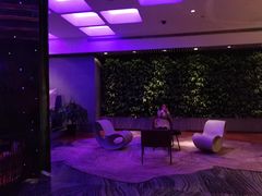 -上海外滩英迪格酒店