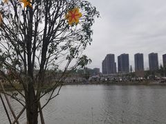 -枫香湖儿童公园