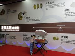 -贝壳王国博物馆