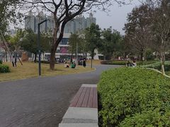 -中山市树木园