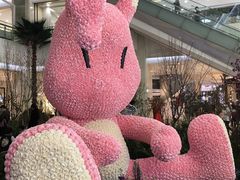 -Seesaw Coffee(朝阳大悦城店)