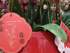 -山姆会员商店(上海浦东店)