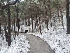 -香山公园