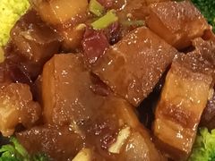 -金龙寨(龙城路店)