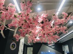 点击看大图 -梵茜儿·头道汤养生馆