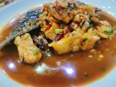 -全乐鱼馆·淳牌有机鱼直营店