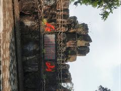 -海口火山口国家地质公园