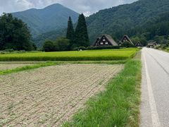 -白川乡与五箇山的合掌构造村落