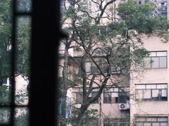-知亘茶食