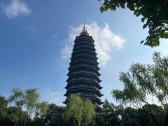-红梅公园