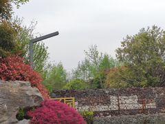 -武汉园博园(武汉自然博物馆)