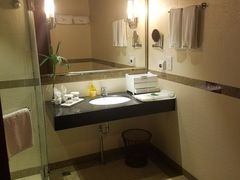 -雅安楠水阁温泉酒店