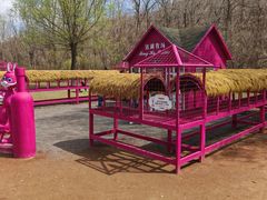 -大连铭湖国际观光牧场