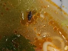 -许小树(国贸商城店)