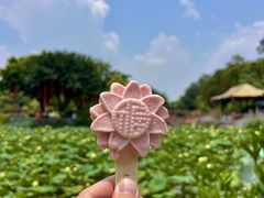 -广州莲花山旅游区