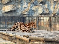 -石家庄市动物园