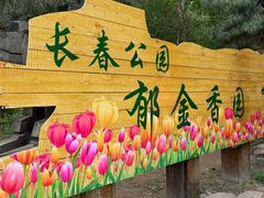 -长春公园(普阳街道)