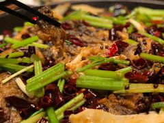 -老板恋上鱼(印象城店)